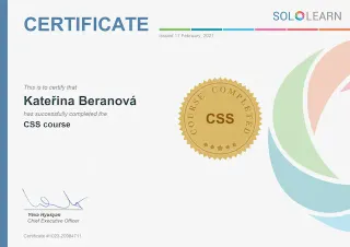 Sololearn - CSS